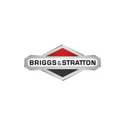 Briggs -- Kit, Carburetor Overhaul -- 84004391 1